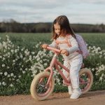 loopfiets little dutch