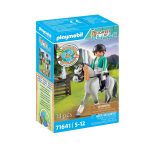 playmobil paarden