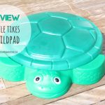 zandbak schildpad